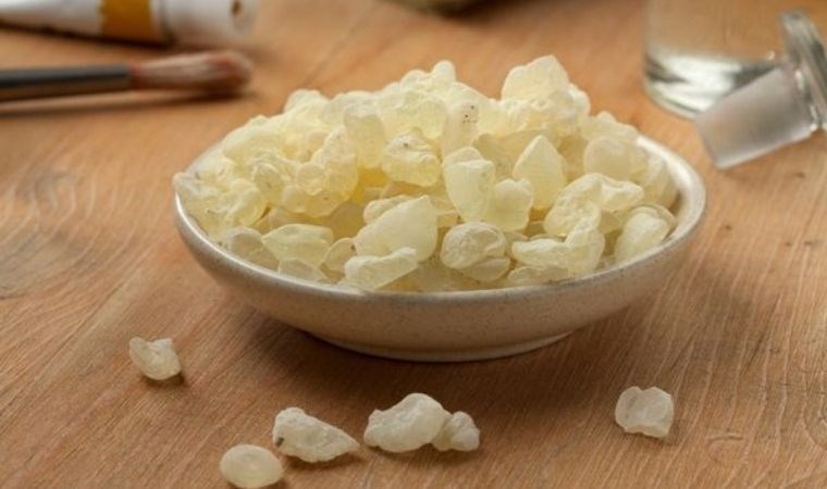 Çiğnedikçe zayıflatan doğal çözüm: Sandaloz sakızı ve bilinmeyen faydaları…