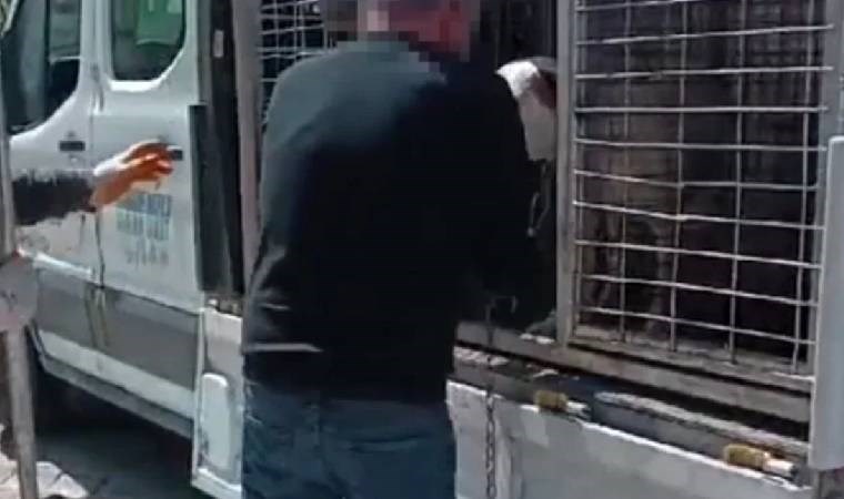 İstanbul’da pitbull saldırısı: Köpeğin sahibine gözaltı!