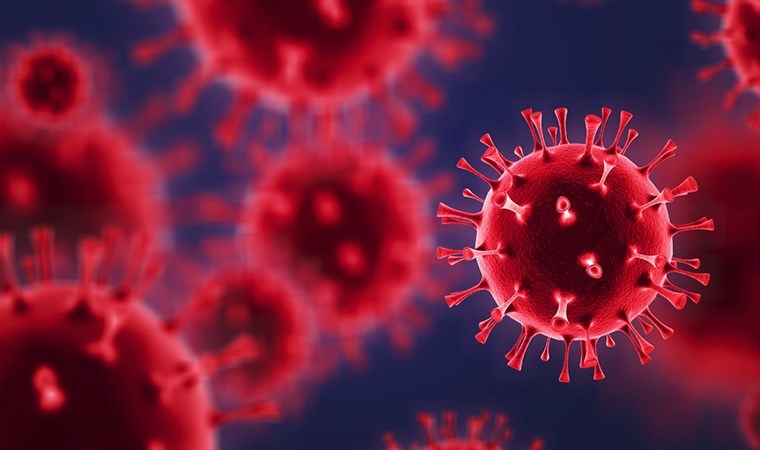 Uzmanlar o şehirlerde yaşayanları uyardı: Kan ve vücut sıvıları yoluyla bulaşıyor