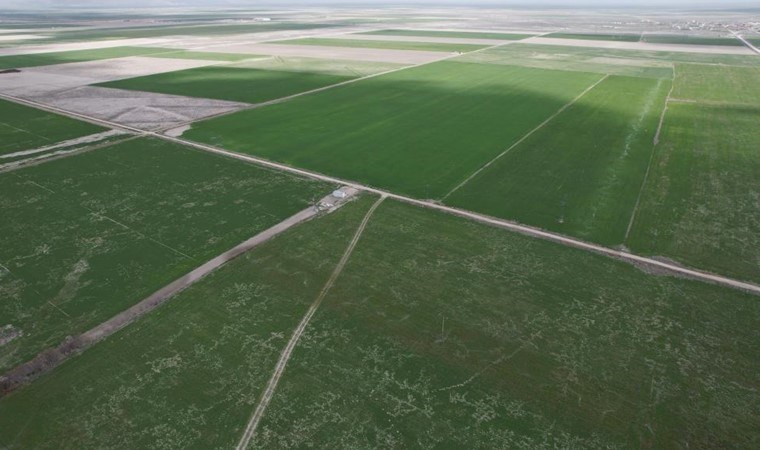 Konya Ovası’nda yağışlar umutları yeşertti:  Hedef 2 milyon ton rekolte