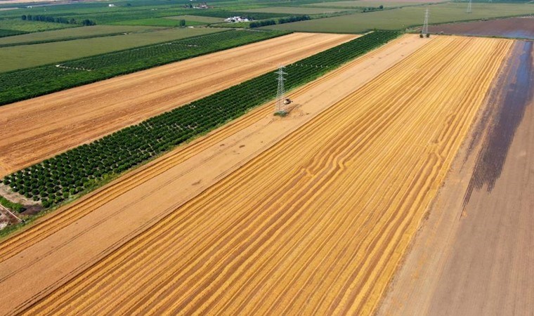Buğday’da hasat başlıyor: Çiftçi ton başına 15 bin lira istiyor
