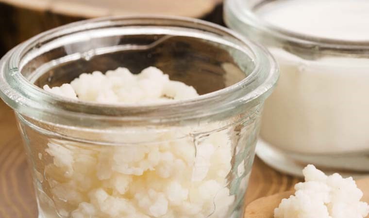 Peygamber darısı olarak biliniyor: Tüketen hastalık yüzü görmüyor!