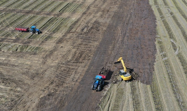 Edirne’de zorlu mesai başlıyor: Mayısta ekilecek, eylül ayında hasat edilecek…