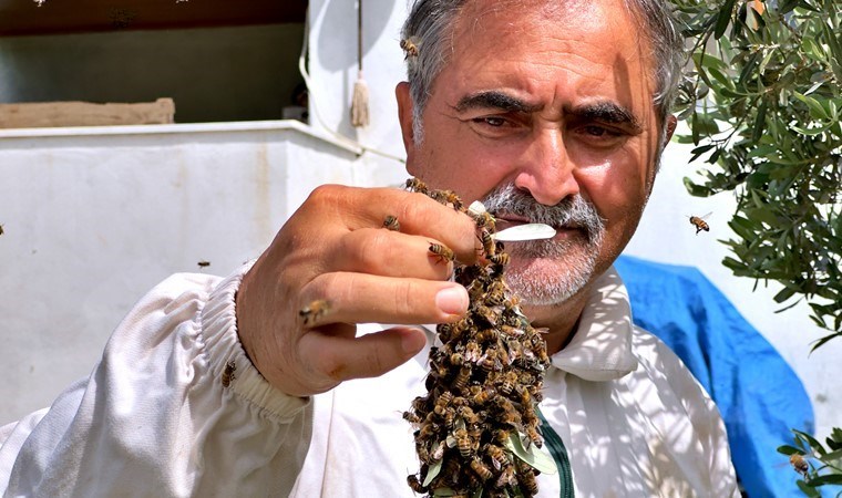 Sadece 2 kovan ile başlamıştı, şimdi 400 kovanı hasat ediyor! Yılda 1 ton ürün alıyor