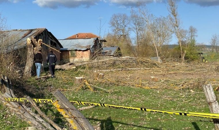 Karabük’te kestiği ağacın altında kalan kişi öldü!