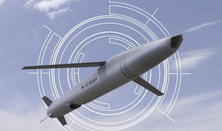 Seyir füzesi nedir? Seyir füzesi ne için kullanılır?