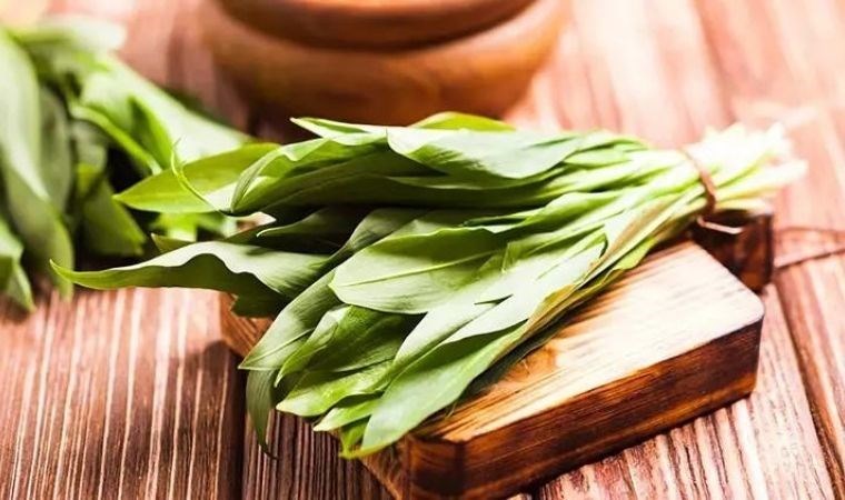 Vücudu enfeksiyonlardan temizleyen mucizevi ot: Çiriş otu ve bilinmeyen faydaları…