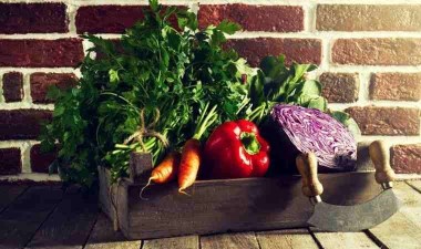 Kendi gıdanızı yetiştirirken yapılan 5 hata… – Son Dakika Yaşam Haberleri | Cumhuriyet