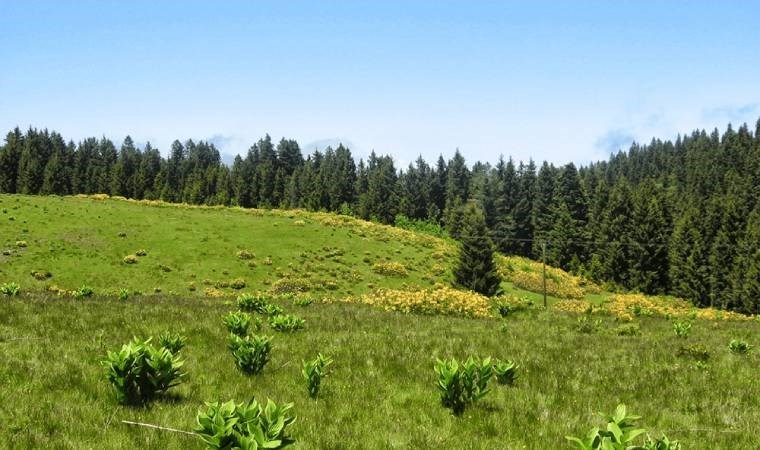 Seçim bitti, arsa satışları devam etti