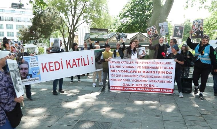 Beyazıt Meydanı'nda kedi ölümlerine protesto