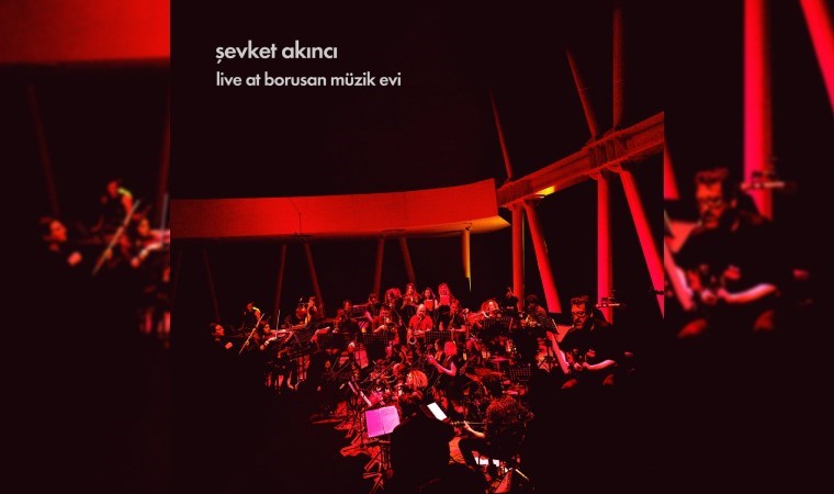 Vitrindeki albümler