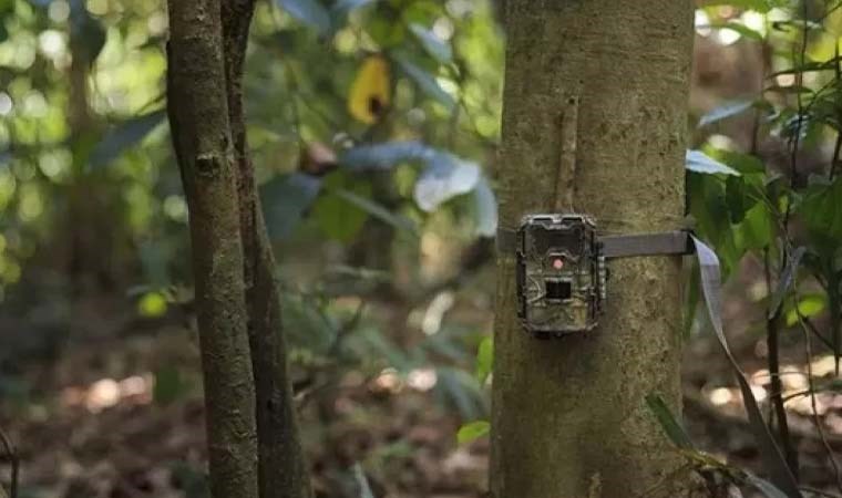 Fotokapan nedir? Fotokapan ne için kullanılır?