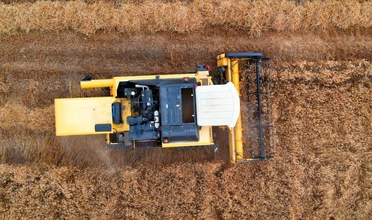 Çukurova’da hasat başladı: 1 milyon tona yakın rekolte bekleniyor