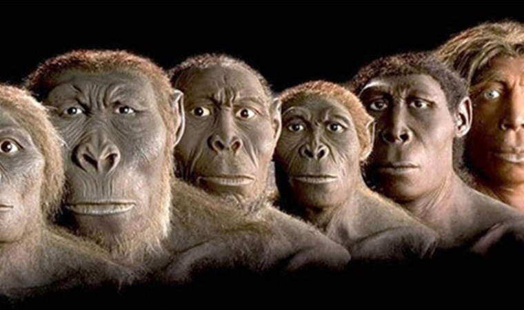 Taş devri akrabalarımız