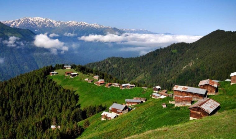 Doğu Karadeniz yaylalarına göç başladı