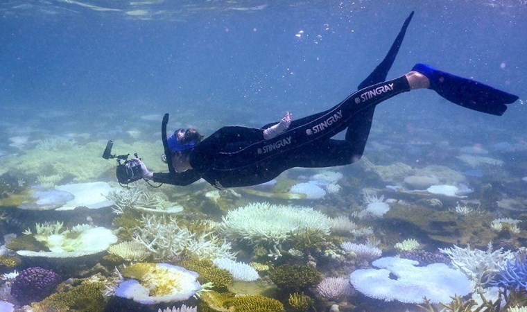 Okyanus sıcaklıkları geçen yıl her gün yeni bir rekor kırdı