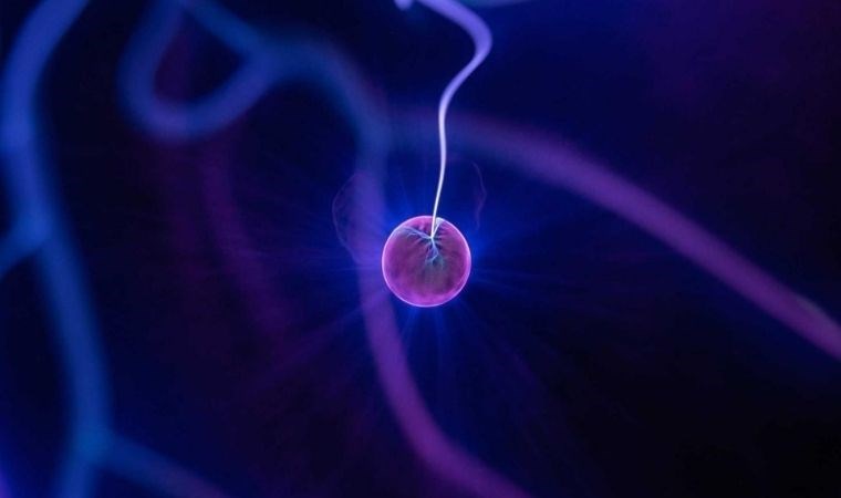 Nükleer fizikte çığır açan gelişme; Atom çekirdeğinin durumu