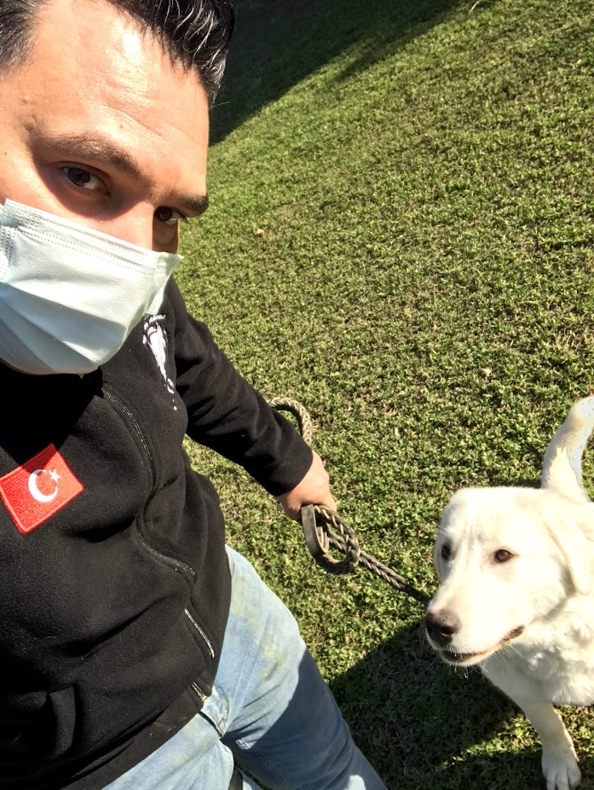 S.I.R K9 Köpek Eğitim Akademisi: Köpek Rehabilitasyonu ve Eğitimi