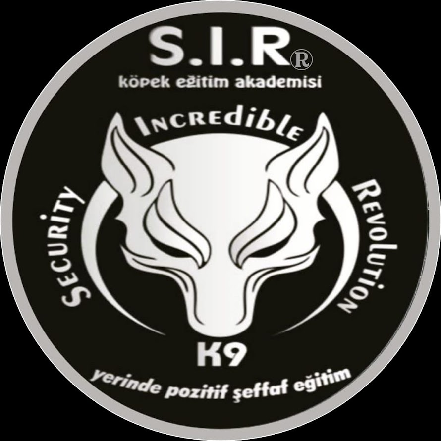 S.I.R Köpek Eğitim Akademisi: K9 Eğitiminde Güvenilir Lider