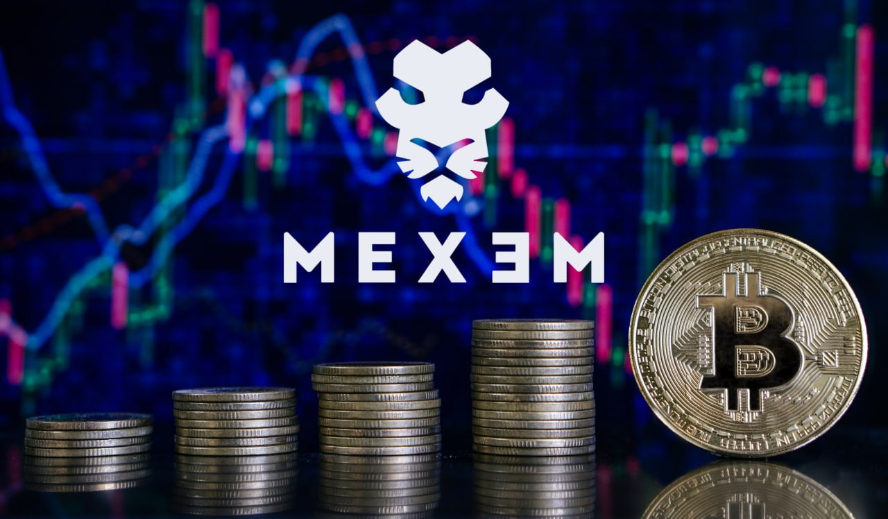Mexem Kripto’nun Profesyonel Danışmanları ile Tanışın