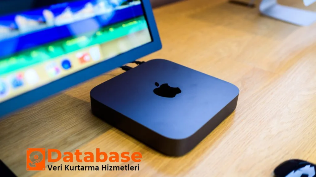 DataBase Veri Kurtarma: Yanlışlıkla Silinen veya Biçimlendirilen Veriler