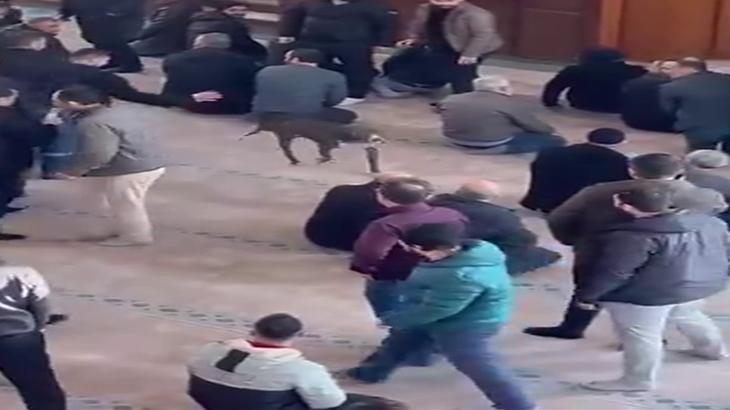 Cuma Namazı Öncesi Camide Pitbull Paniği