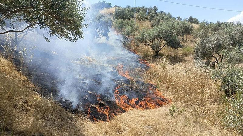 Yenipazar’da Ormanlık Alanda Yangın: Ekipler 2 Saatte Kontrol Sağladı