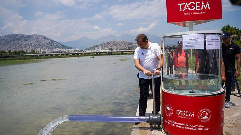 ANTALYA’DA NESLİ TEHLİKEDEKİ BALIKLAR DOĞAYA YENİDEN KAZANDIRILDI