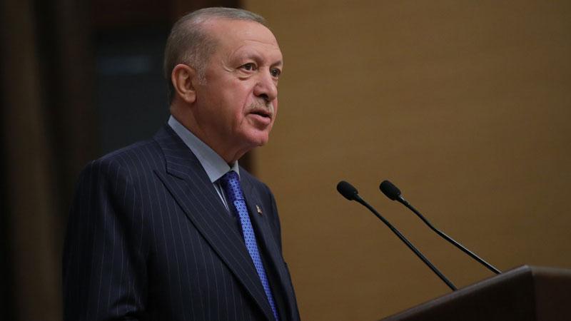 Erdoğan, Litvanya Başbakanı Sinkevicius ile telefonda görüştü