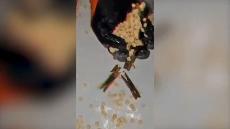 Şanlıurfa’da ev baskını: Tuvalet ve kovadan uyuşturucu çıktı