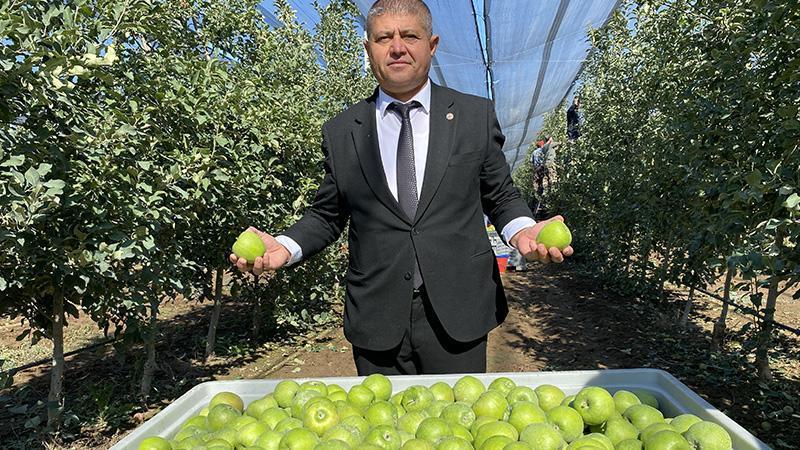 Isparta’da elma hasadında yoğun mesai: 1 milyon 250 bin ton hedefleniyor